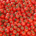 Rajčata a cherry