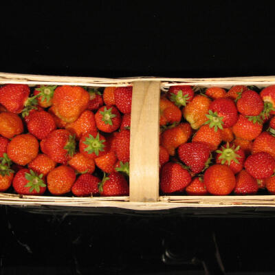 České jahody 2 kg
