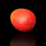 Mango RTE By Air