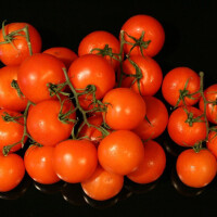 Česká rajčata keříková 1 kg - obrázek 3
