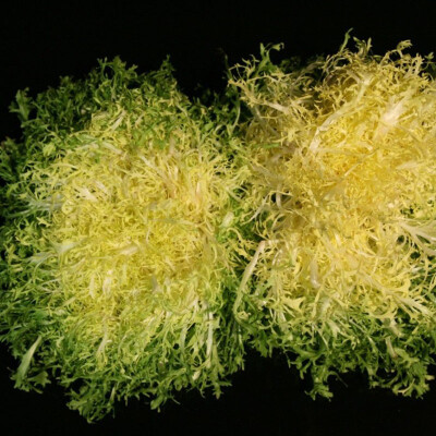 Salát frisée