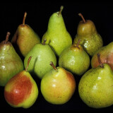 Hruška Guyot 1 kg