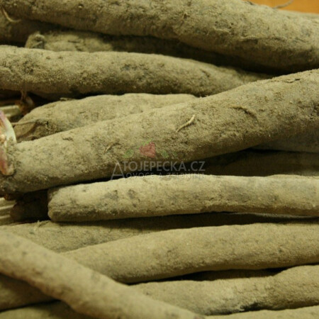 Černý kořen 1 kg - hlavní obrázek