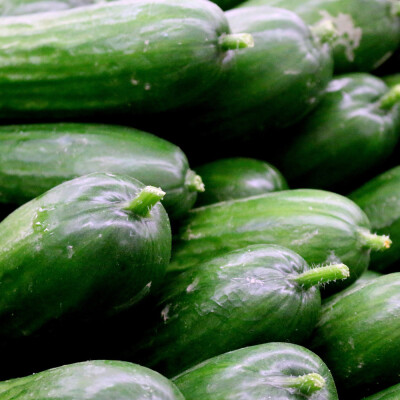 Česká okurka hadovka 1 kg