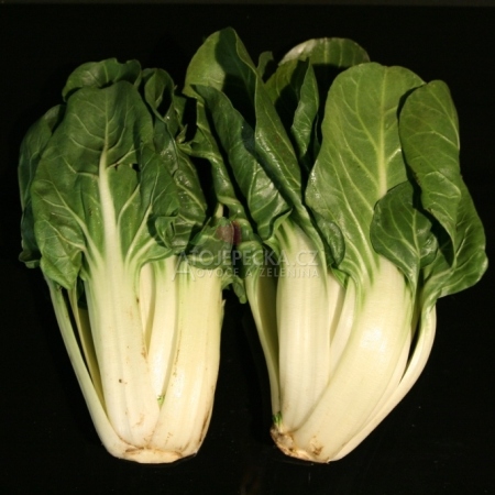 Mangold 1 kg - hlavní obrázek