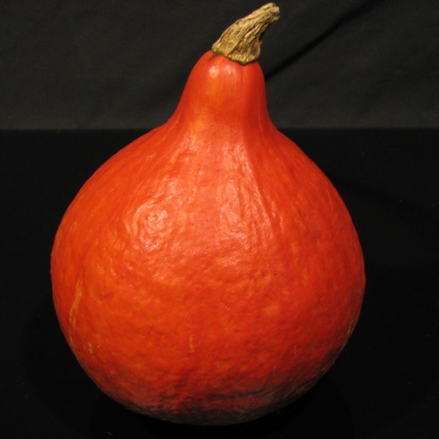 Dýně Hokkaido 1 kg