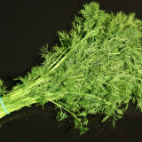 Kopr 100 g