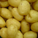 Brambory prané Agata bal. 2 kg