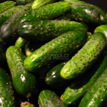 Okurka nakládačka 10 kg - hlavní obrázek