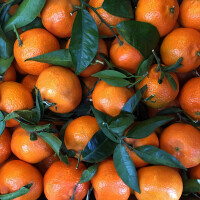 Mandarinka Clementine s lístkem bal. 750 g - obrázek 2