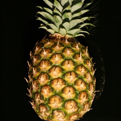 Ananas Super Sweet