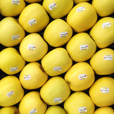 Jablko Golden Delicious premium 1 kg