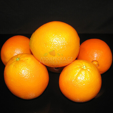 Pomeranče Navel 1 kg - hlavní obrázek
