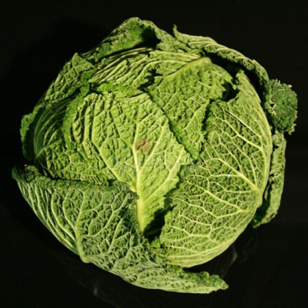Kapusta hlávková 1 kg - hlavní obrázek