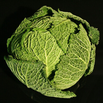 Kapusta hlávková 1 kg