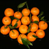 Mandarinka Clementine s lístkem bal. 750 g