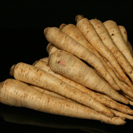 Petržel kořenová 500 g - hlavní obrázek