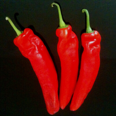 Paprika kapie Ramiro 500 g