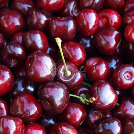 Třešně černé 1 kg - hlavní obrázek