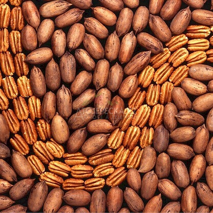 Pekanové ořechy 100 g - hlavní obrázek