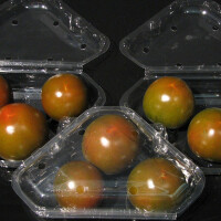 Rajčata Kumato 1 kg - obrázek 2