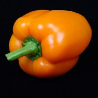 Paprika žlutá 500 g - obrázek 2