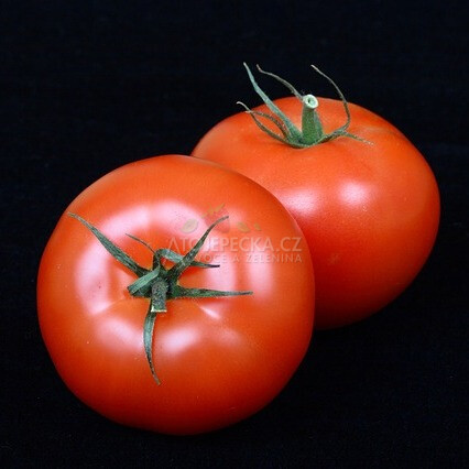 Rajčata kulatá 1 kg - hlavní obrázek