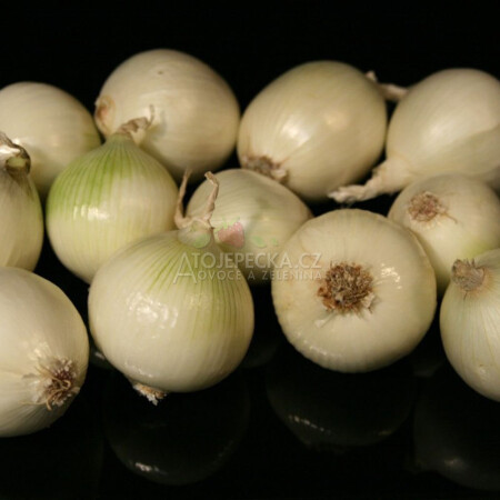 Cibule bílá 1 kg - hlavní obrázek