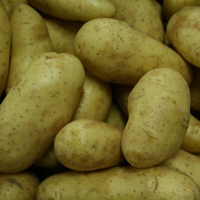 Brambory rané 1 kg