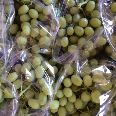 Hroznové víno bezpeckové Sugraone 1 kg