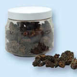 Smrž obecný - Morchella esculenta 50 g
