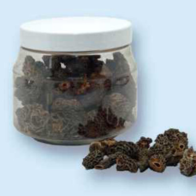 Smrž obecný - Morchella esculenta 50 g