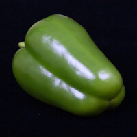 Paprika zelená 500 g - obrázek 2