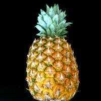 Ananas super sweet - velký - obrázek 2