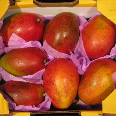 Mango