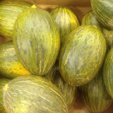 Meloun Piel de Sapo 1 kg