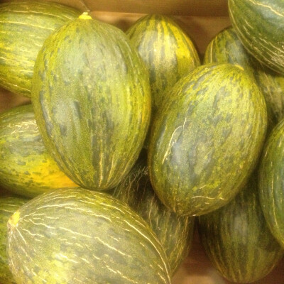 Meloun Piel de Sapo 1 kg