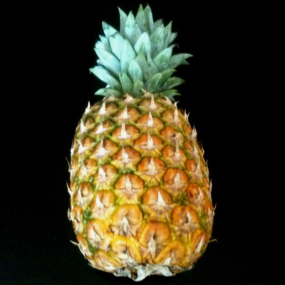 Ananas super sweet - velký