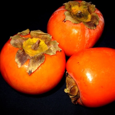 Kaki churma