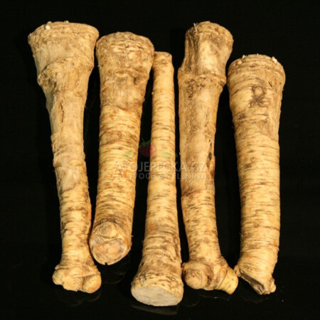 Křen 500 g - hlavní obrázek