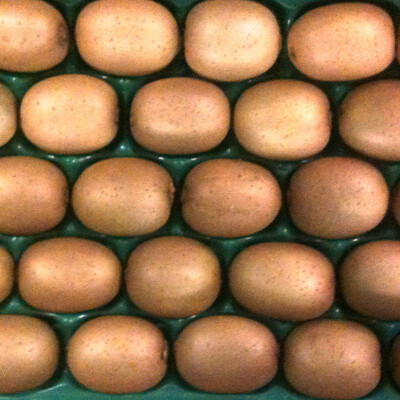 Kiwi kusové