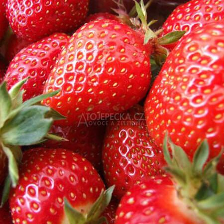 České jahody 1 kg - hlavní obrázek