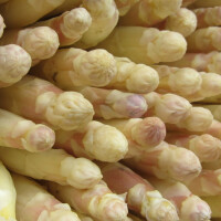 Chřest bílý 500 g - obrázek 2