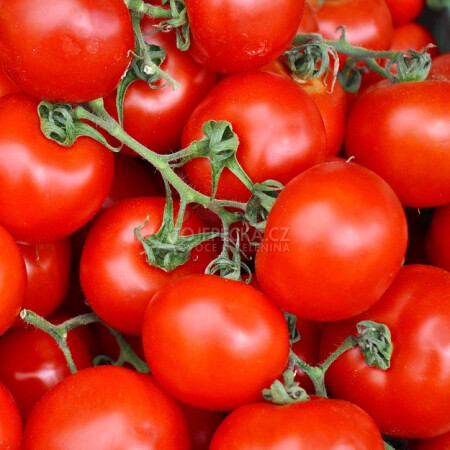 Rajčata Tomino 1 kg - hlavní obrázek