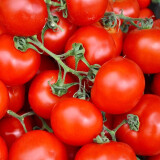 Rajčata Tomino 1 kg