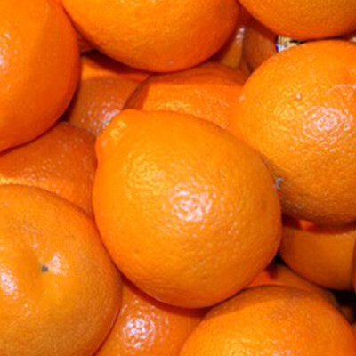 Minneola 1 kg