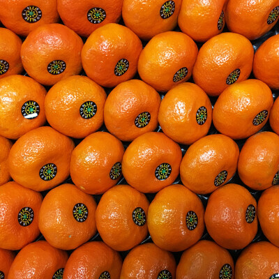 Mandarinky Nadorcott 1 kg