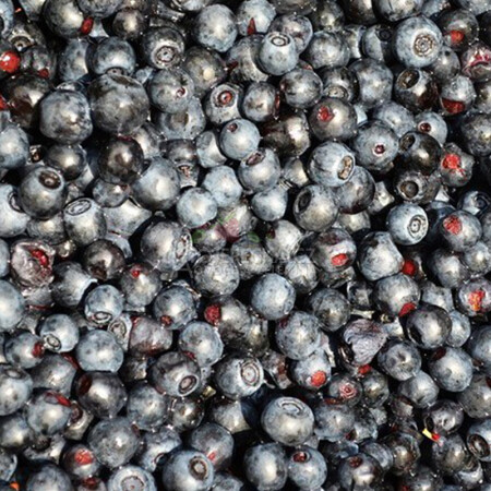 Lesní borůvky mražené 2,5 kg - hlavní obrázek