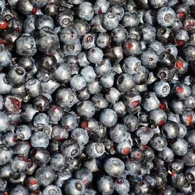 Lesní borůvky mražené 2,5 kg