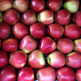 Jablko Gloster 1 kg